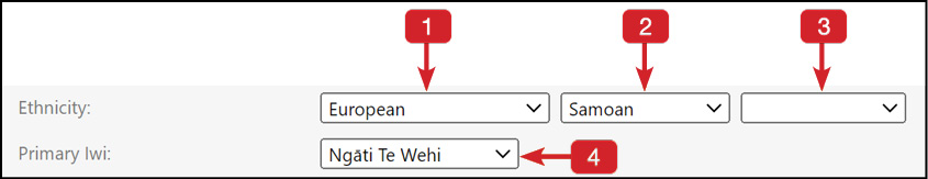 Ethnicity image.jpg